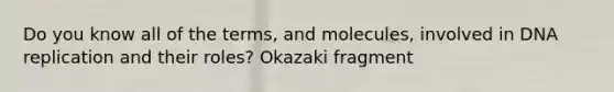 Do you know all of the terms, and molecules, involved in DNA replication and their roles? Okazaki fragment