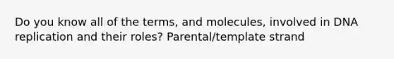 Do you know all of the terms, and molecules, involved in DNA replication and their roles? Parental/template strand