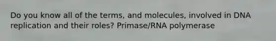 Do you know all of the terms, and molecules, involved in DNA replication and their roles? Primase/RNA polymerase