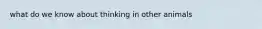 what do we know about thinking in other animals