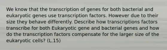 We know that the transcription of genes for both bacterial and eukaryotic genes use transcription factors. However due to their size they behave differently. Describe how transcriptions factors transcribe for both Eukaryotic gene and bacterial genes and how do the transcription factors compensate for the larger size of the eukaryotic cells? (L.15)