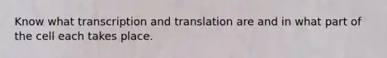 Know what transcription and translation are and in what part of the cell each takes place.