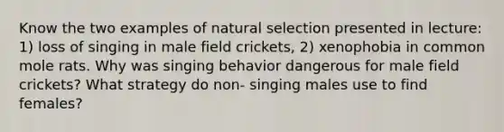 Know the two examples of natural selection presented in lecture: 1) loss of singing in male field crickets, 2) xenophobia in common mole rats. Why was singing behavior dangerous for male field crickets? What strategy do non- singing males use to find females?