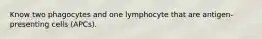 Know two phagocytes and one lymphocyte that are antigen-presenting cells (APCs).