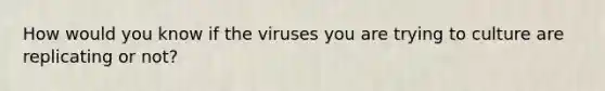 How would you know if the viruses you are trying to culture are replicating or not?