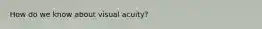 How do we know about ​visual acuity​?