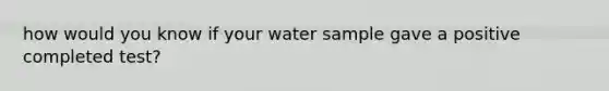 how would you know if your water sample gave a positive completed test?