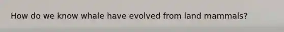 How do we know whale have evolved from land mammals?