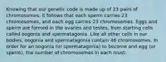 Knowing that our genetic code is made up of 23 pairs of chromosomes, it follows that each sperm carries 23 chromosomes, and each egg carries 23 chromosomes. Eggs and sperm are formed in the ovaries and testes, from starting cells called oogonia and spermatagonia. Like all other cells in our bodies, oogonia and spermatagonia contain 46 chromosomes. In order for an oogonia (or spermatagonia) to become and egg (or sperm), the number of chromosomes in each must: