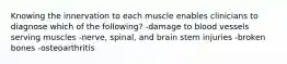 Knowing the innervation to each muscle enables clinicians to diagnose which of the following? -damage to blood vessels serving muscles -nerve, spinal, and brain stem injuries -broken bones -osteoarthritis