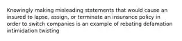 Knowingly making misleading statements that would cause an insured to lapse, assign, or terminate an insurance policy in order to switch companies is an example of rebating defamation intimidation twisting