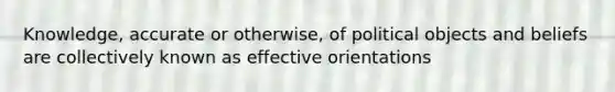 Knowledge, accurate or otherwise, of political objects and beliefs are collectively known as effective orientations