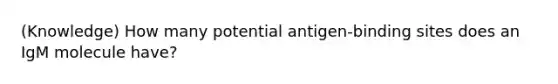 (Knowledge) How many potential antigen-binding sites does an IgM molecule have?