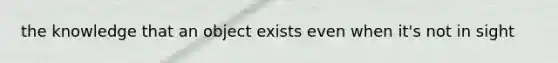 the knowledge that an object exists even when it's not in sight