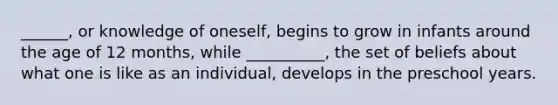 ______, or knowledge of oneself, begins to grow in infants around the age of 12 months, while __________, the set of beliefs about what one is like as an individual, develops in the preschool years.