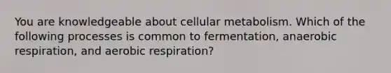 You are knowledgeable about cellular metabolism. Which of the following processes is common to fermentation, anaerobic respiration, and aerobic respiration?