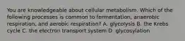 You are knowledgeable about cellular metabolism. Which of the following processes is common to fermentation, anaerobic respiration, and aerobic respiration? A. glycolysis B. the Krebs cycle C. the electron transport system D. glycosylation