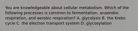 You are knowledgeable about cellular metabolism. Which of the following processes is common to fermentation, anaerobic respiration, and aerobic respiration? A. glycolysis B. the Krebs cycle C. the electron transport system D. glycosylation