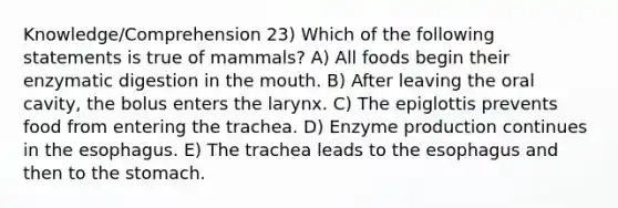 Knowledge/Comprehension 23) Which of the following statements is true of mammals? A) All foods begin their enzymatic digestion in the mouth. B) After leaving the oral cavity, the bolus enters the larynx. C) The epiglottis prevents food from entering the trachea. D) Enzyme production continues in the esophagus. E) The trachea leads to the esophagus and then to the stomach.