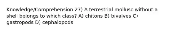 Knowledge/Comprehension 27) A terrestrial mollusc without a shell belongs to which class? A) chitons B) bivalves C) gastropods D) cephalopods