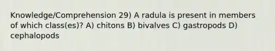 Knowledge/Comprehension 29) A radula is present in members of which class(es)? A) chitons B) bivalves C) gastropods D) cephalopods