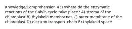 Knowledge/Comprehension 43) Where do the enzymatic reactions of the Calvin cycle take place? A) stroma of the chloroplast B) thylakoid membranes C) outer membrane of the chloroplast D) electron transport chain E) thylakoid space