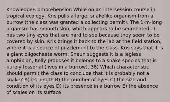 Knowledge/Comprehension While on an intersession course in tropical ecology, Kris pulls a large, snakelike organism from a burrow (the class was granted a collecting permit). The 1-m-long organism has smooth skin, which appears to be segmented. It has two tiny eyes that are hard to see because they seem to be covered by skin. Kris brings it back to the lab at the field station, where it is a source of puzzlement to the class. Kris says that it is a giant oligochaete worm; Shaun suggests it is a legless amphibian; Kelly proposes it belongs to a snake species that is purely fossorial (lives in a burrow). 38) Which characteristic should permit the class to conclude that it is probably not a snake? A) its length B) the number of eyes C) the size and condition of its eyes D) its presence in a burrow E) the absence of scales on its surface