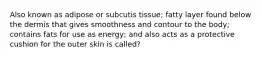 Also known as adipose or subcutis tissue; fatty layer found below the dermis that gives smoothness and contour to the body; contains fats for use as energy; and also acts as a protective cushion for the outer skin is called?