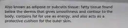 Also known as adipose or subcutis tissue; fatty tissue found below the dermis that gives smoothness and contour to the body, contains fat for use as energy, and also acts as a protective cushion for the outer skin.