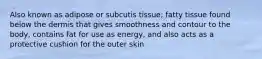 Also known as adipose or subcutis tissue; fatty tissue found below the dermis that gives smoothness and contour to the body, contains fat for use as energy, and also acts as a protective cushion for the outer skin