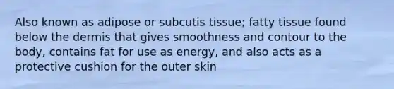 Also known as adipose or subcutis tissue; fatty tissue found below the dermis that gives smoothness and contour to the body, contains fat for use as energy, and also acts as a protective cushion for the outer skin