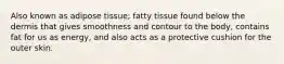 Also known as adipose tissue; fatty tissue found below the dermis that gives smoothness and contour to the body, contains fat for us as energy, and also acts as a protective cushion for the outer skin.