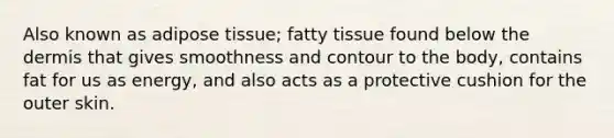 Also known as adipose tissue; fatty tissue found below <a href='https://www.questionai.com/knowledge/kEsXbG6AwS-the-dermis' class='anchor-knowledge'>the dermis</a> that gives smoothness and contour to the body, contains fat for us as energy, and also acts as a protective cushion for the outer skin.