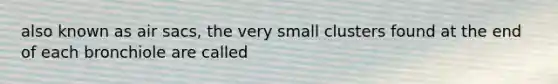 also known as air sacs, the very small clusters found at the end of each bronchiole are called