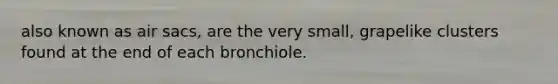 also known as air sacs, are the very small, grapelike clusters found at the end of each bronchiole.​