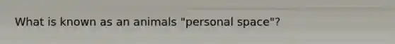 What is known as an animals "personal space"?