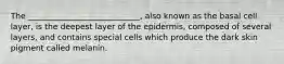 The ____________________________, also known as the basal cell layer, is the deepest layer of the epidermis, composed of several layers, and contains special cells which produce the dark skin pigment called melanin.