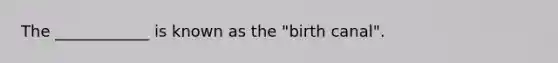 The ____________ is known as the "birth canal".