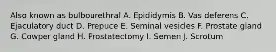 Also known as bulbourethral A. Epididymis B. Vas deferens C. Ejaculatory duct D. Prepuce E. Seminal vesicles F. Prostate gland G. Cowper gland H. Prostatectomy I. Semen J. Scrotum