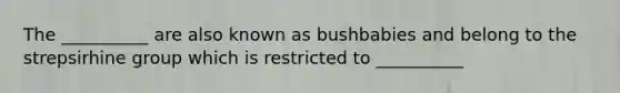 The __________ are also known as bushbabies and belong to the strepsirhine group which is restricted to __________