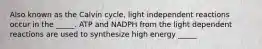 Also known as the Calvin cycle, light independent reactions occur in the _____. ATP and NADPH from the light dependent reactions are used to synthesize high energy _____