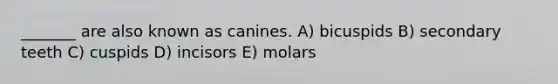 _______ are also known as canines. A) bicuspids B) secondary teeth C) cuspids D) incisors E) molars