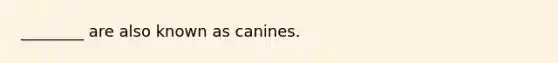 ________ are also known as canines.