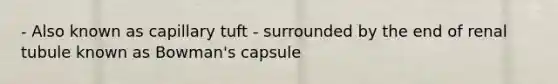 - Also known as capillary tuft - surrounded by the end of renal tubule known as Bowman's capsule