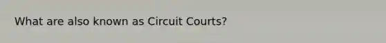 What are also known as Circuit Courts?