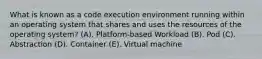 What is known as a code execution environment running within an operating system that shares and uses the resources of the operating system? (A). Platform-based Workload (B). Pod (C). Abstraction (D). Container (E). Virtual machine