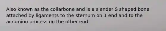 Also known as the collarbone and is a slender S shaped bone attached by ligaments to the sternum on 1 end and to the acromion process on the other end