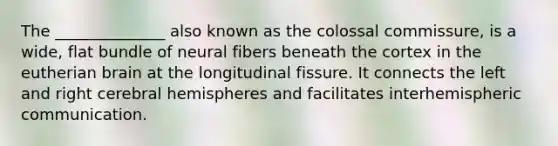 The ______________ also known as the colossal commissure, is a wide, flat bundle of neural fibers beneath the cortex in the eutherian brain at the longitudinal fissure. It connects the left and right cerebral hemispheres and facilitates interhemispheric communication.