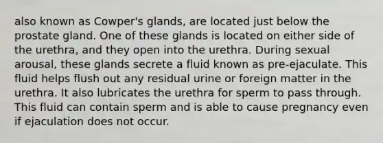 also known as Cowper's glands, are located just below the prostate gland. One of these glands is located on either side of the urethra, and they open into the urethra. During sexual arousal, these glands secrete a fluid known as pre-ejaculate. This fluid helps flush out any residual urine or foreign matter in the urethra. It also lubricates the urethra for sperm to pass through. This fluid can contain sperm and is able to cause pregnancy even if ejaculation does not occur.