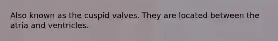 Also known as the cuspid valves. They are located between the atria and ventricles.